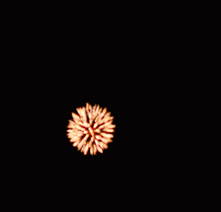Gif animé feux d'artifices 208